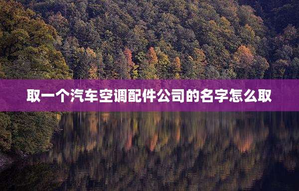 取一个汽车空调配件公司的名字怎么取