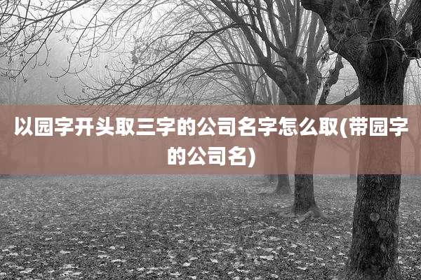 以园字开头取三字的公司名字怎么取(带园字的公司名)