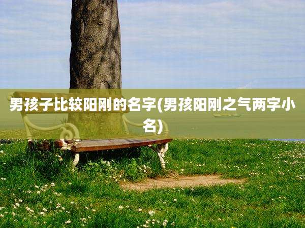 男孩子比较阳刚的名字(男孩阳刚之气两字小名)