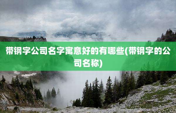 带钢字公司名字寓意好的有哪些(带钢字的公司名称)