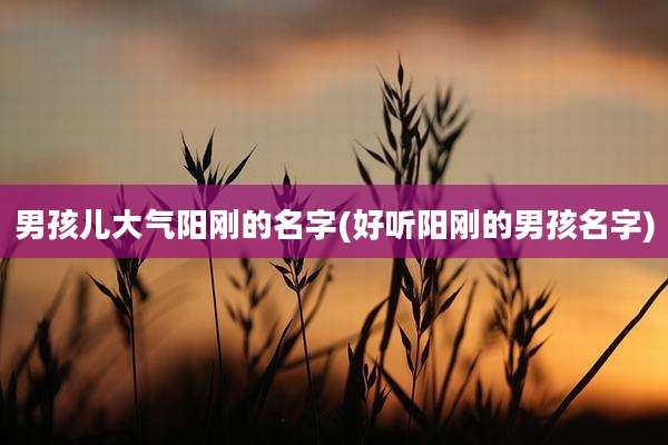 男孩儿大气阳刚的名字(好听阳刚的男孩名字)