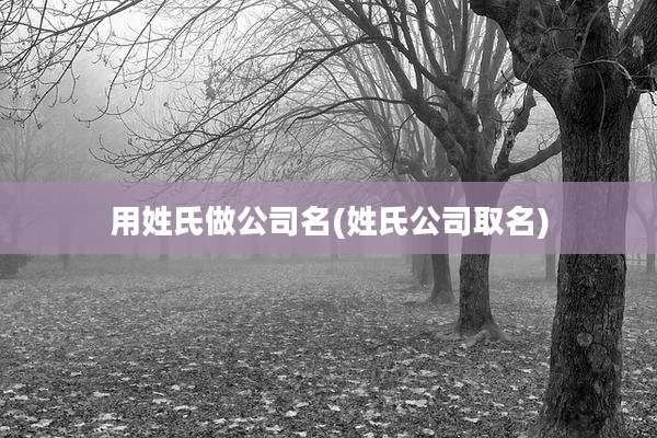用姓氏做公司名(姓氏公司取名)