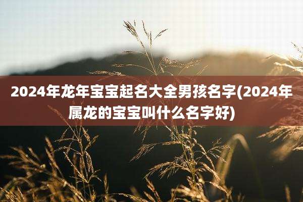 2024年龙年宝宝起名大全男孩名字(2024年属龙的宝宝叫什么名字好)