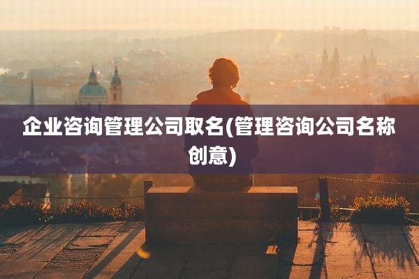 企业咨询管理公司取名(管理咨询公司名称 创意)