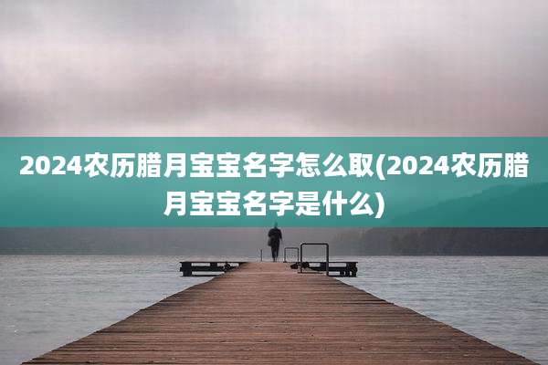 2024农历腊月宝宝名字怎么取(2024农历腊月宝宝名字是什么)