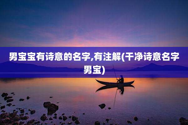 男宝宝有诗意的名字,有注解(干净诗意名字男宝)