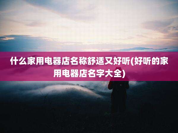 什么家用电器店名称舒适又好听(好听的家用电器店名字大全)