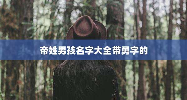 帝姓男孩名字大全带勇字的