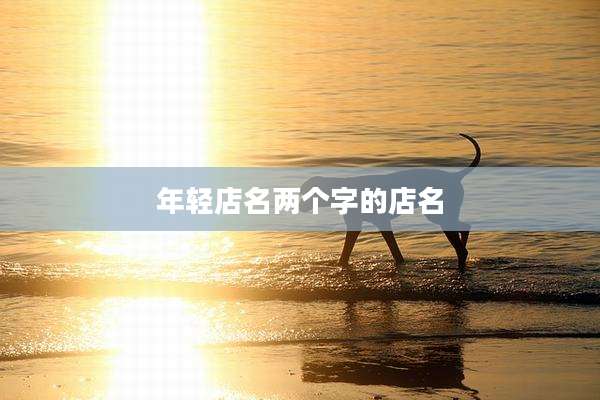 年轻店名两个字的店名