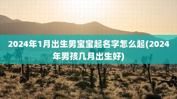 2024年1月出生男宝宝起名字怎么起(2024年男孩几月出生好)