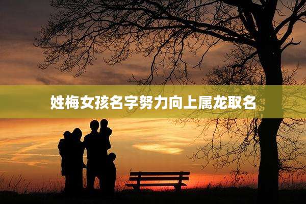 姓梅女孩名字努力向上属龙取名