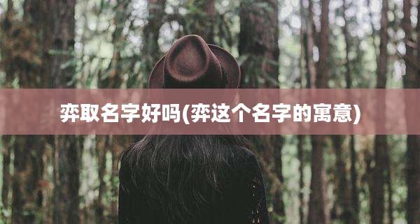 弈取名字好吗(弈这个名字的寓意)