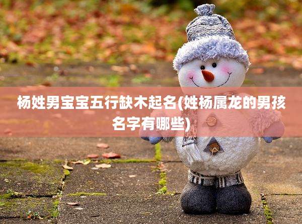 杨姓男宝宝五行缺木起名(姓杨属龙的男孩名字有哪些)