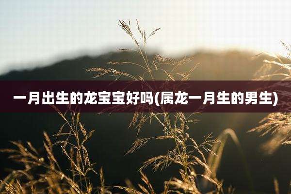 一月出生的龙宝宝好吗(属龙一月生的男生)
