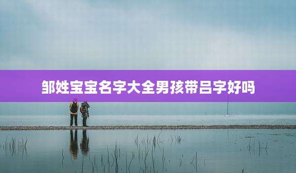 邹姓宝宝名字大全男孩带吕字好吗