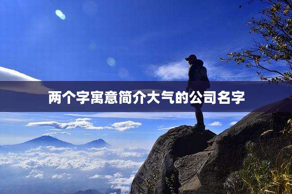 两个字寓意简介大气的公司名字