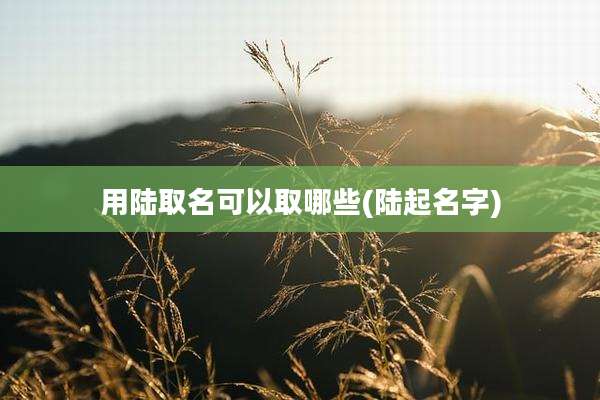用陆取名可以取哪些(陆起名字)