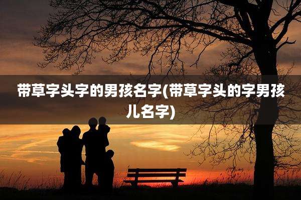 带草字头字的男孩名字(带草字头的字男孩儿名字)