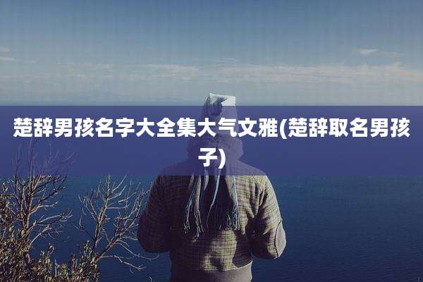 楚辞男孩名字大全集大气文雅(楚辞取名男孩子)