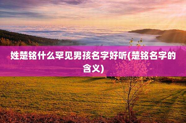 姓楚铭什么罕见男孩名字好听(楚铭名字的含义)