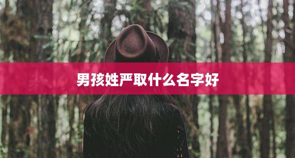 男孩姓严取什么名字好