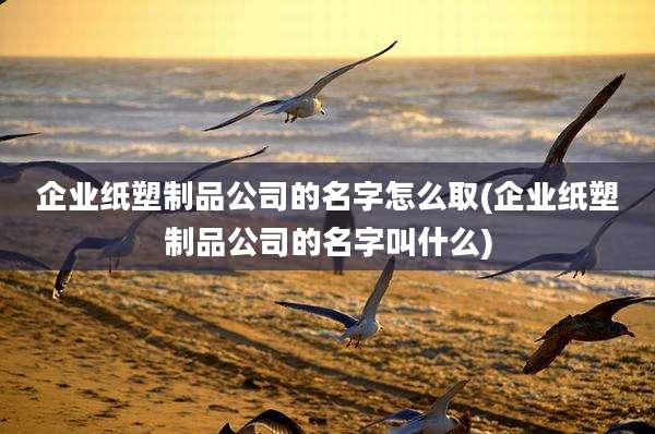 企业纸塑制品公司的名字怎么取(企业纸塑制品公司的名字叫什么)