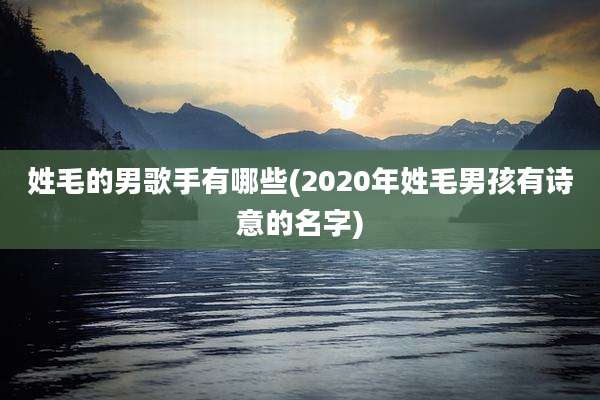 姓毛的男歌手有哪些(2020年姓毛男孩有诗意的名字)