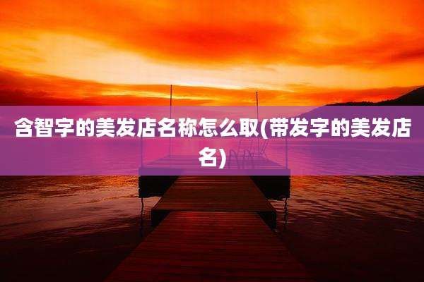 含智字的美发店名称怎么取(带发字的美发店名)