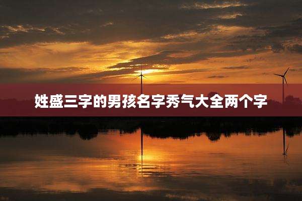 姓盛三字的男孩名字秀气大全两个字