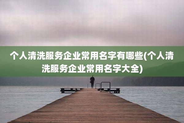 个人清洗服务企业常用名字有哪些(个人清洗服务企业常用名字大全)