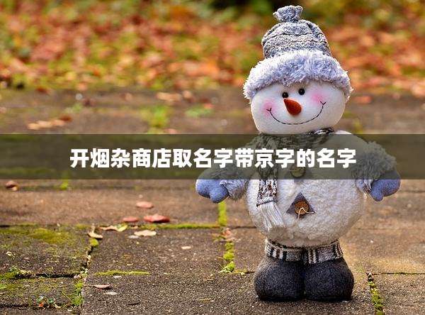 开烟杂商店取名字带京字的名字