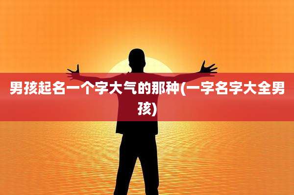 男孩起名一个字大气的那种(一字名字大全男孩)