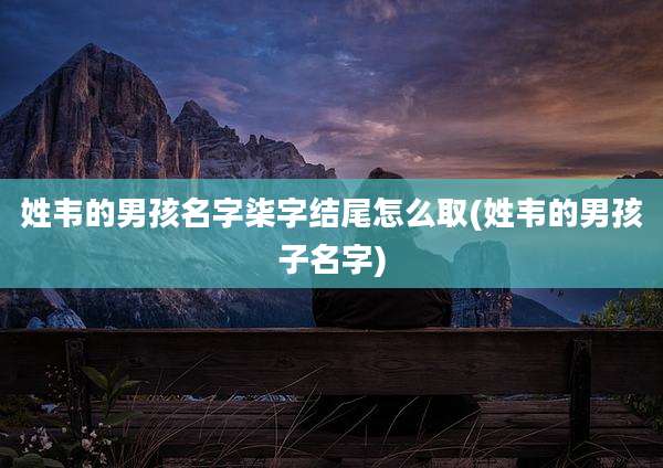 姓韦的男孩名字柒字结尾怎么取(姓韦的男孩子名字)