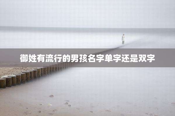 御姓有流行的男孩名字单字还是双字