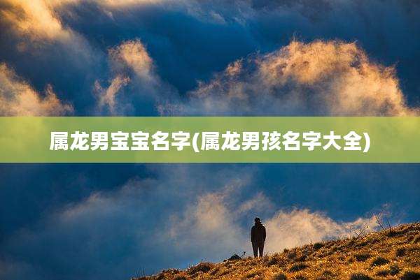 属龙男宝宝名字(属龙男孩名字大全)