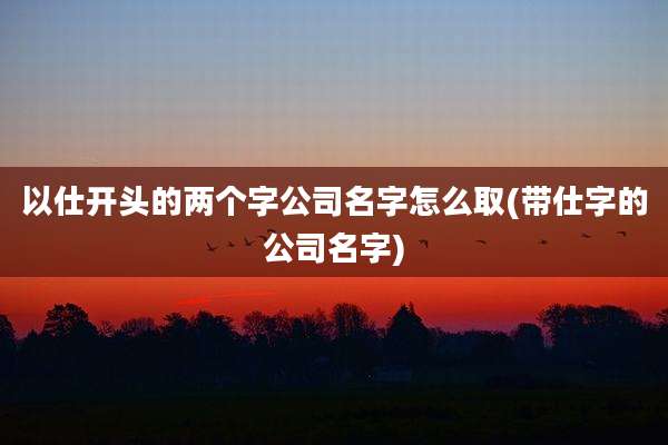 以仕开头的两个字公司名字怎么取(带仕字的公司名字)