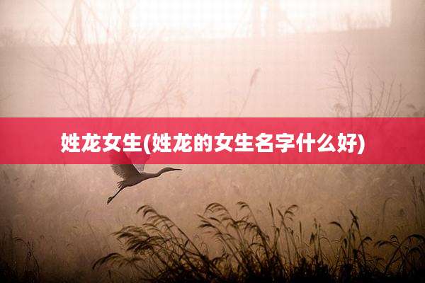 姓龙女生(姓龙的女生名字什么好)