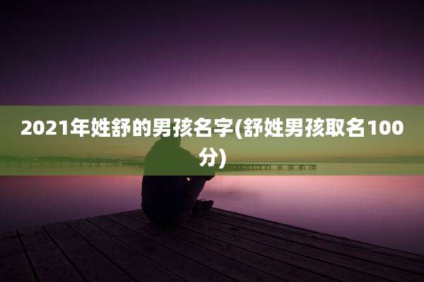2021年姓舒的男孩名字(舒姓男孩取名100分)