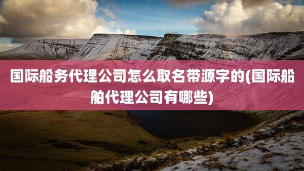 国际船务代理公司怎么取名带源字的(国际船舶代理公司有哪些)