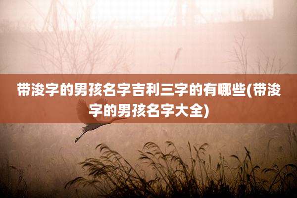 带浚字的男孩名字吉利三字的有哪些(带浚字的男孩名字大全)