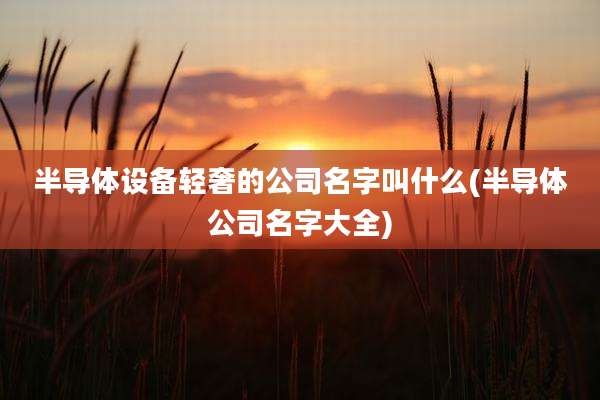 半导体设备轻奢的公司名字叫什么(半导体公司名字大全)