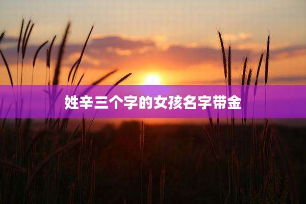 姓辛三个字的女孩名字带金