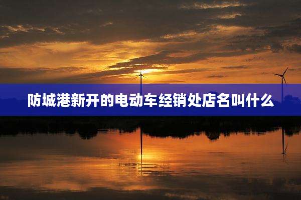 防城港新开的电动车经销处店名叫什么