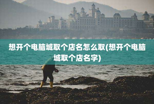 想开个电脑城取个店名怎么取(想开个电脑城取个店名字)