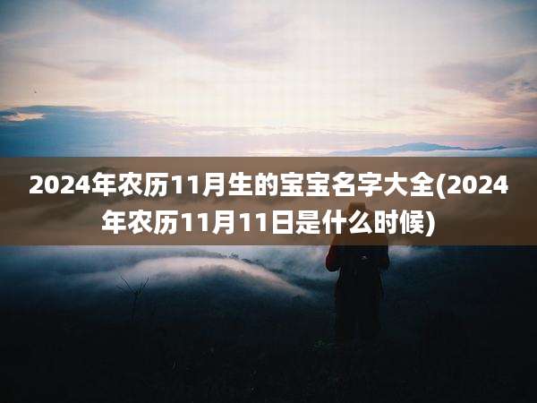2024年农历11月生的宝宝名字大全(2024年农历11月11日是什么时候)