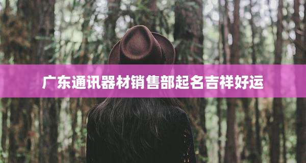 广东通讯器材销售部起名吉祥好运