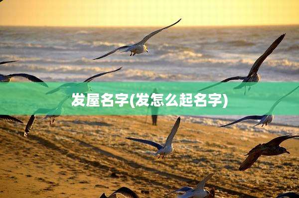 发屋名字(发怎么起名字)