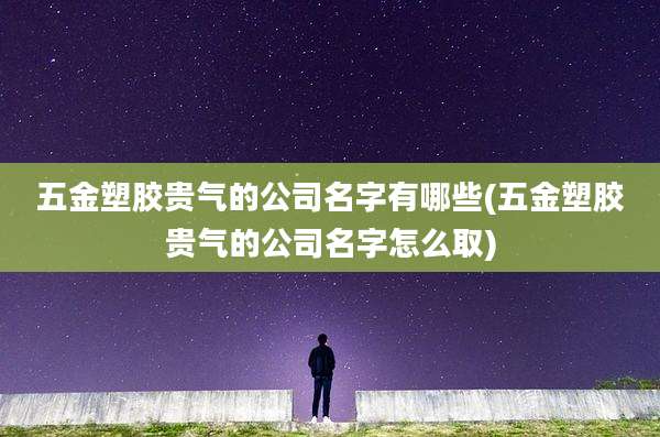 五金塑胶贵气的公司名字有哪些(五金塑胶贵气的公司名字怎么取)