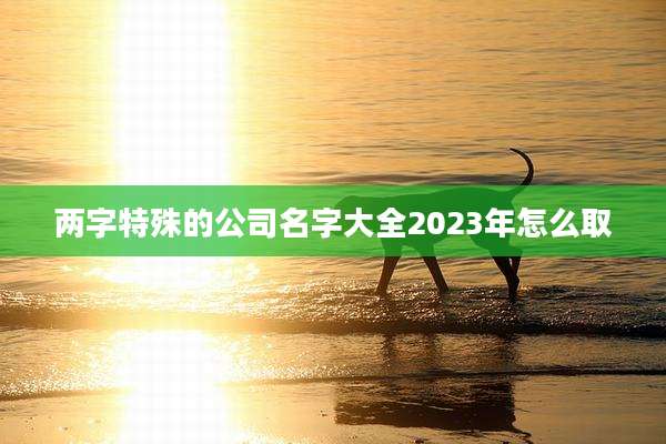 两字特殊的公司名字大全2023年怎么取