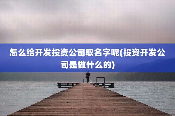 怎么给开发投资公司取名字呢(投资开发公司是做什么的)